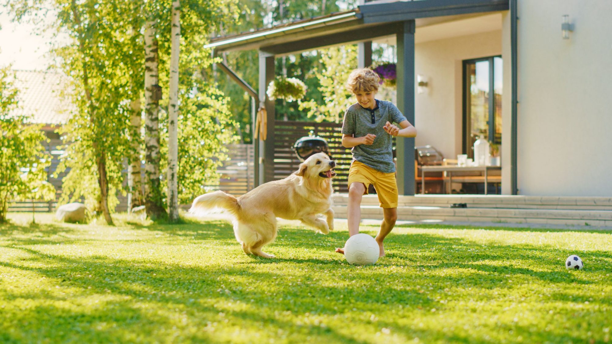 dog and kid playing soccer together outside.